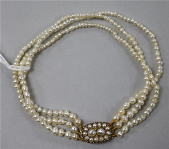 A late 19th/early 20th century triple strand seed pearl bracelet with seed pearl set yellow metal clasp.